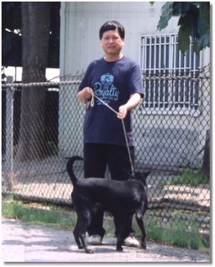 中小型台灣黑犬